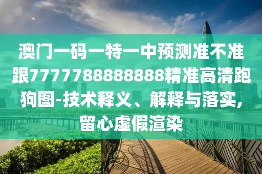 澳門(mén)一碼一特一中預(yù)測(cè)準(zhǔn)不準(zhǔn)跟7777788888888精準(zhǔn)高清跑狗圖-技術(shù)釋義、解釋與落實(shí),留心虛假渲染