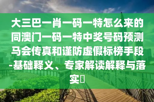 大三巴一肖一碼一特怎么來的同澳門一碼一特中獎號碼預測馬會傳真和謹防虛假標榜手段-基礎釋義、專家解讀解釋與落實?