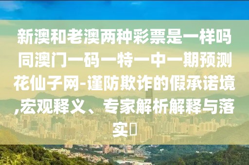 新澳和老澳兩種彩票是一樣嗎同澳門一碼一特一中一期預(yù)測(cè)花仙子網(wǎng)-謹(jǐn)防欺詐的假承諾境,宏觀釋義、專家解析解釋與落實(shí)?