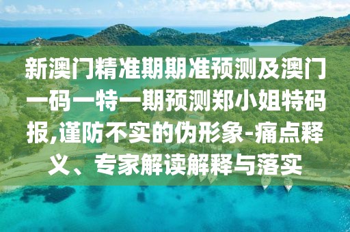 新澳門精準(zhǔn)期期準(zhǔn)預(yù)測(cè)及澳門一碼一特一期預(yù)測(cè)鄭小姐特碼報(bào),謹(jǐn)防不實(shí)的偽形象-痛點(diǎn)釋義、專家解讀解釋與落實(shí)