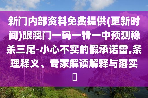 新門內(nèi)部資料免費提供(更新時間)跟澳門一碼一特一中預(yù)測穩(wěn)殺三尾-小心不實的假承諾雷,條理釋義、專家解讀解釋與落實?
