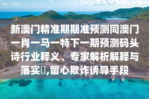 新澳門(mén)精準(zhǔn)期期準(zhǔn)預(yù)測(cè)同澳門(mén)一肖一馬一特下一期預(yù)測(cè)碼頭詩(shī)行業(yè)釋義、專(zhuān)家解析解釋與落實(shí)?,留心欺詐誘導(dǎo)手段